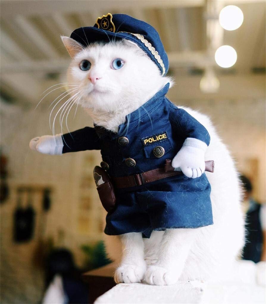 Кот полицейский