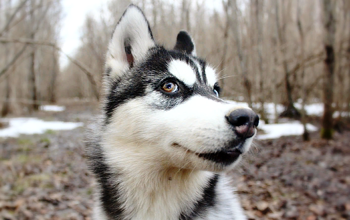  -Тапок? Какой-такой тапок???