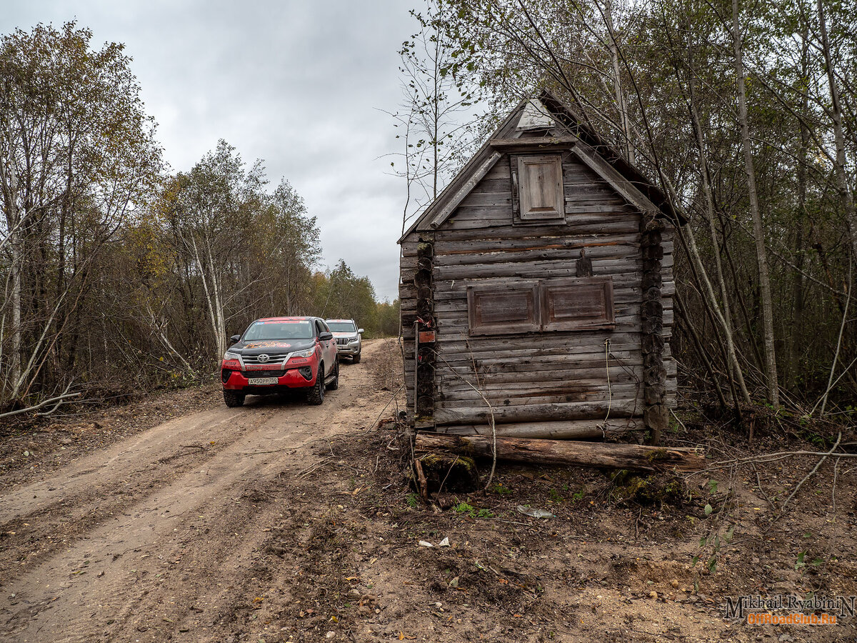 Поехал в лес, а нашел заброшенную зону ©️🤭⛓🚷 | РЯБИНИН | ФОТОПУТЕШЕСТВИЯ  | Дзен