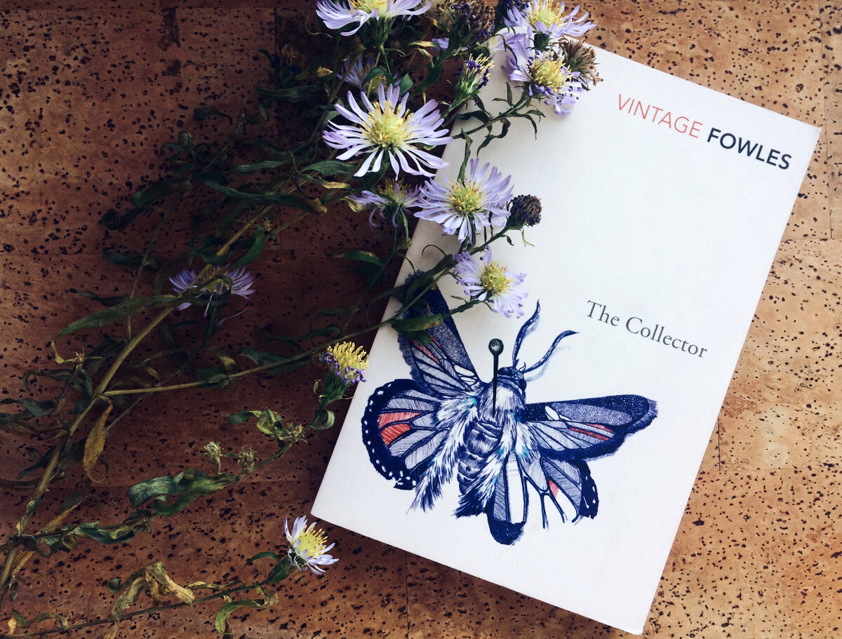 На фото: роман «Коллекционер» на английском языке, серия Vintage Classics