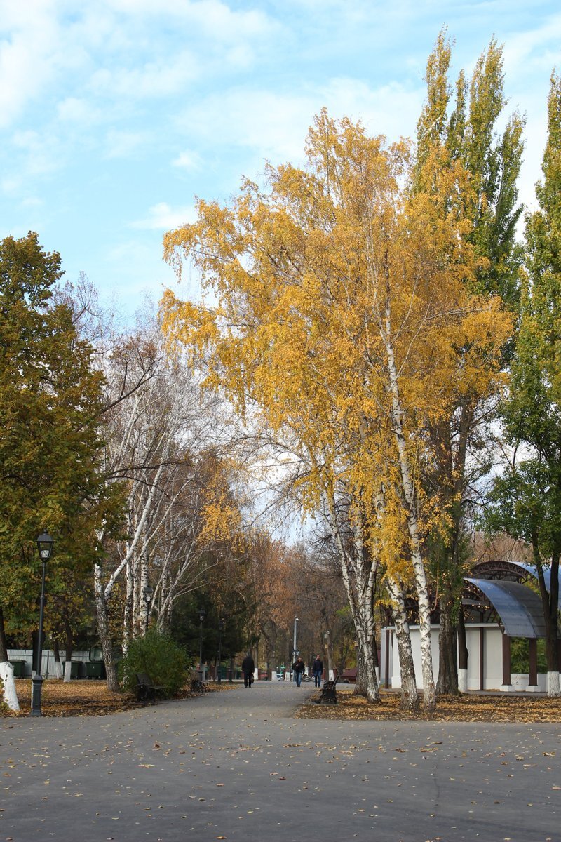 Обновленный парк Металлургов | Жизнь в Самаре | Дзен