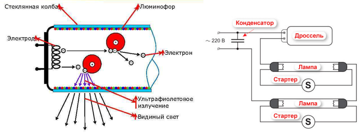 Что находится внутри люминесцентной лампы Устройство и принцип работы стартера и дросселя, как они зажигают лампы Энергофи