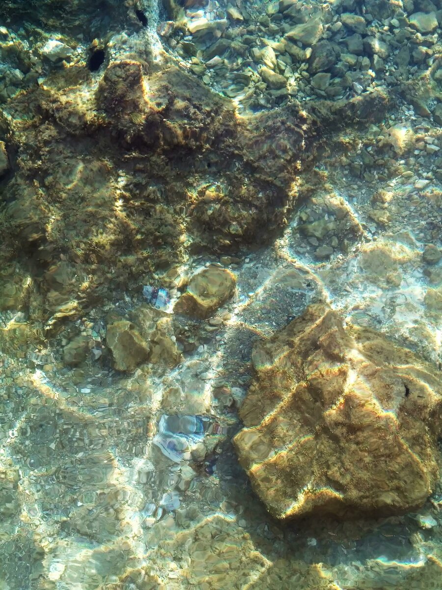 Вода здесь, однако, прозрачная, но полна морских ежей