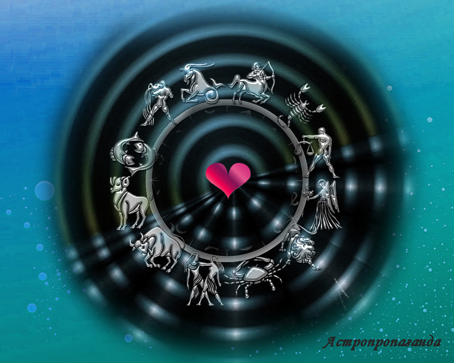 Коллаж Нины Стрелковой.