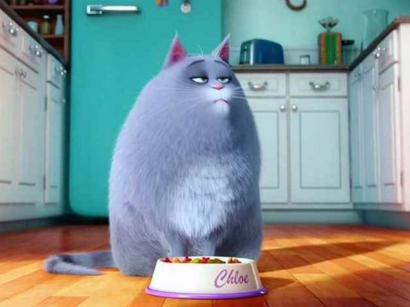 Кадр из мультфильма