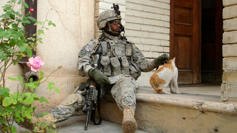 фото взято с сайта russian.rt.com