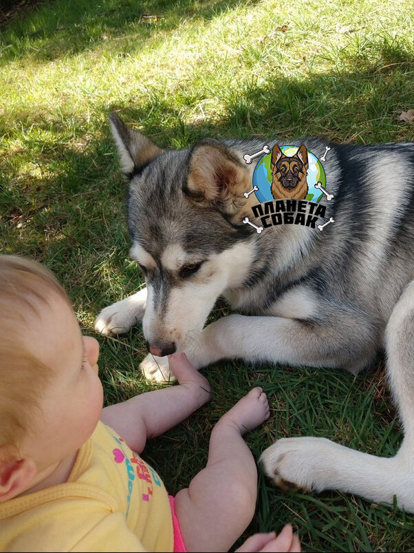 Подписывайтесь на канал, ставьте лайки. Спасибо.