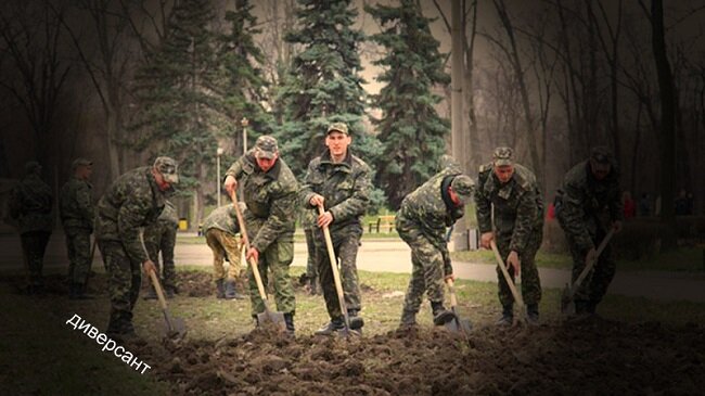 копаем отседа и до обеда