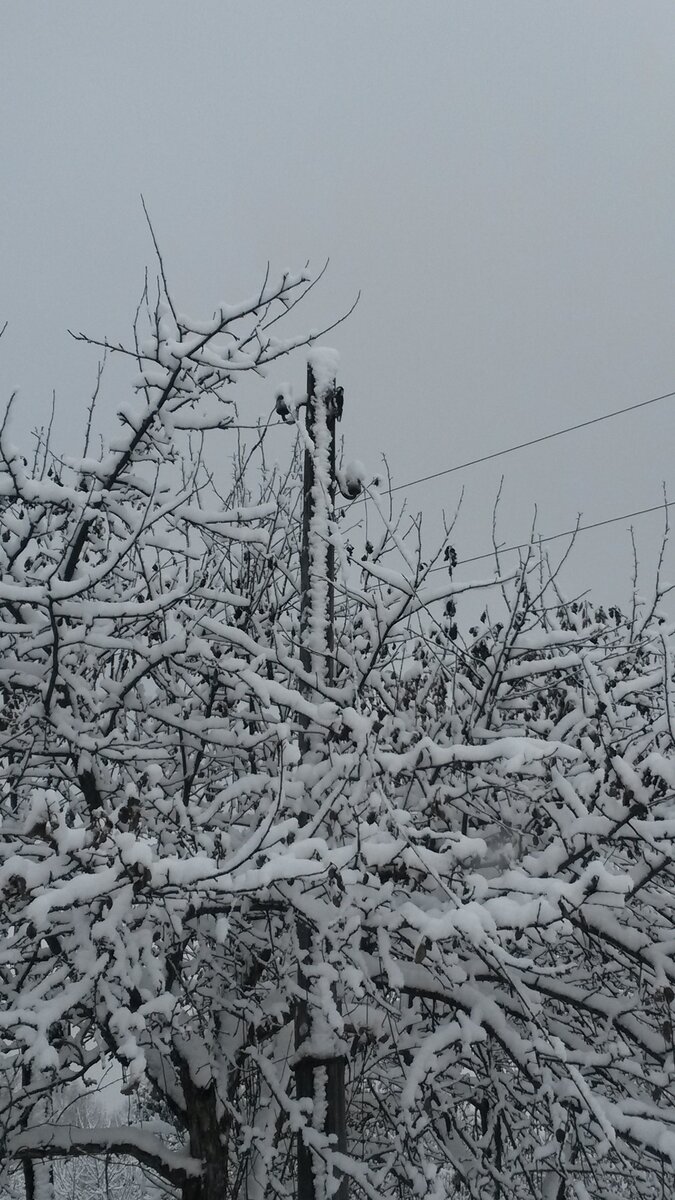 Конечно же я понимаю, что хозяин просто не соблюдал элементарные правила и сам виноват. Однако, данное происшествие сильно меня впечатлило и я задумался как мне сделать ввод в мой деревянный дом. Я, почитав литературу решил сделать подземный ввод.