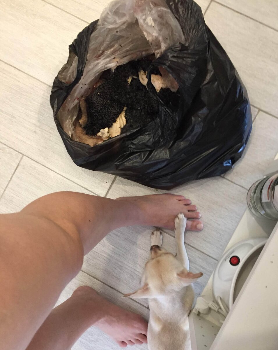 Кэнди меня даже придерживала лапкой, чтобы не уходила, а резала. 