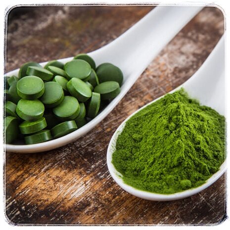 Спирулина - белок