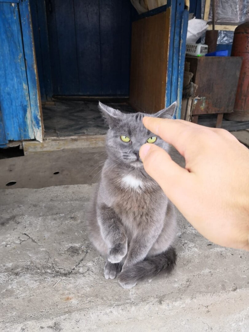 Он уже приготовил лапу, чтобы вцепиться)