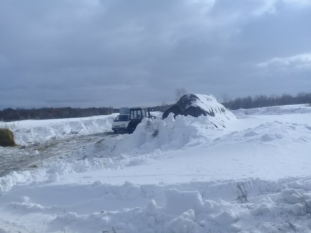   Фермерские запасы.