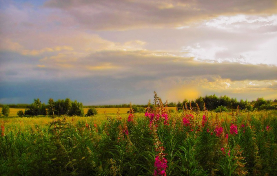 Фото взято из открытых источников