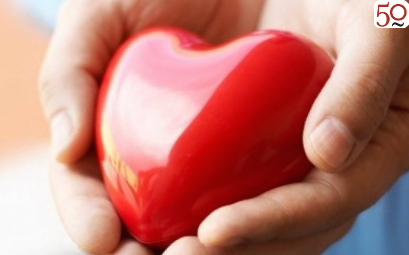 Фото из открытых источников yandex.ru