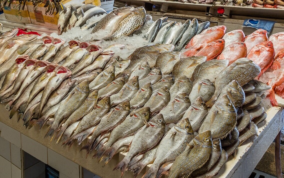 рыбный ряд. полки в рыбном магазине. рыбный ряд на рынке. центральный рынок рыба ростов на дону. рынок салоники.