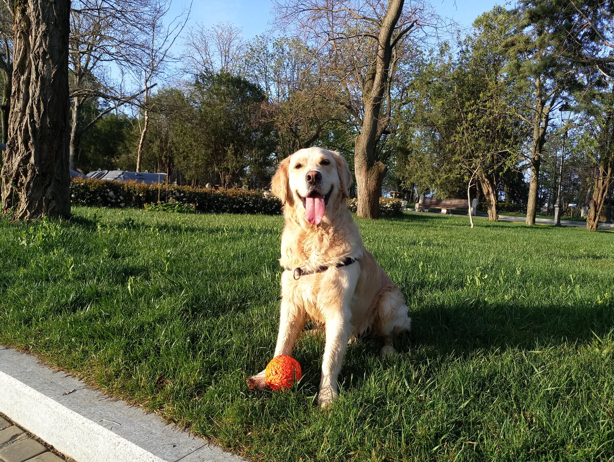 Куба обожает читать стихи про себя.