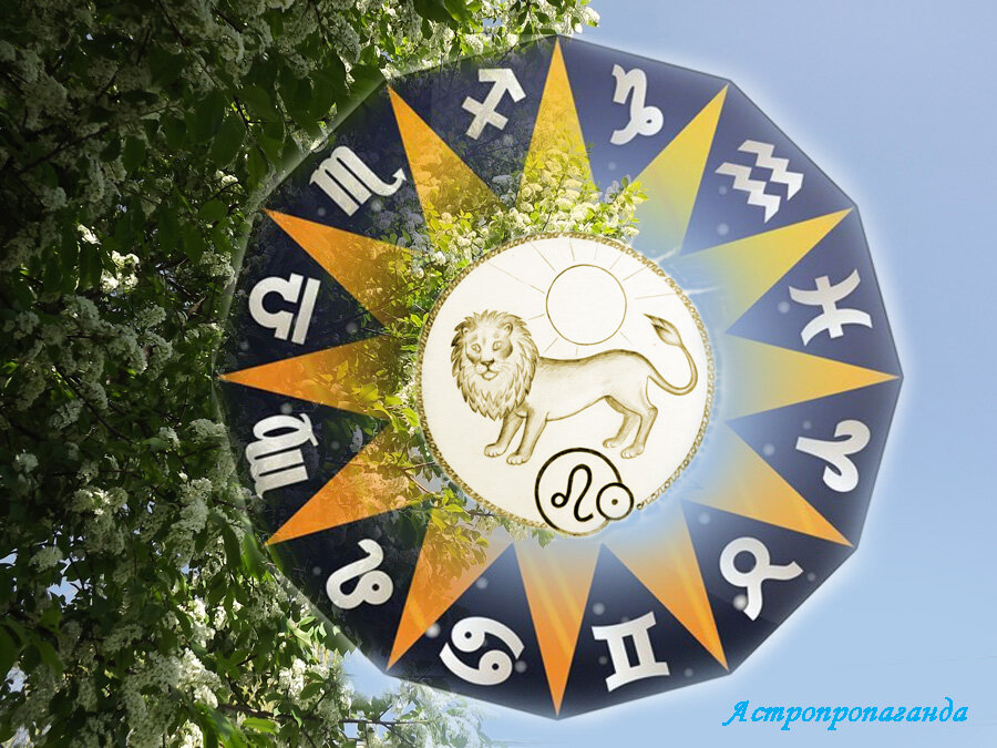 Коллаж Нины Стрелковой.