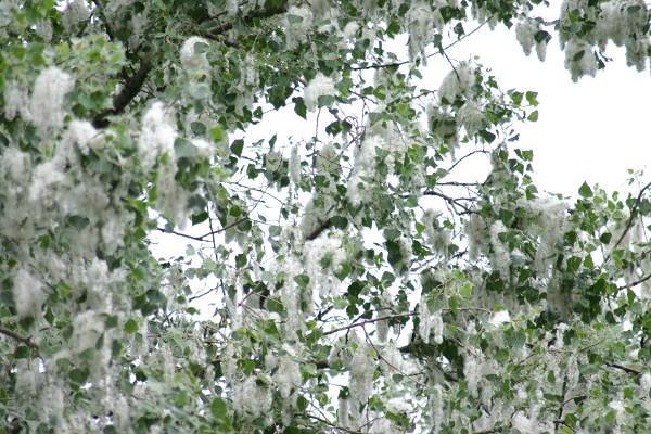 Фото getty images