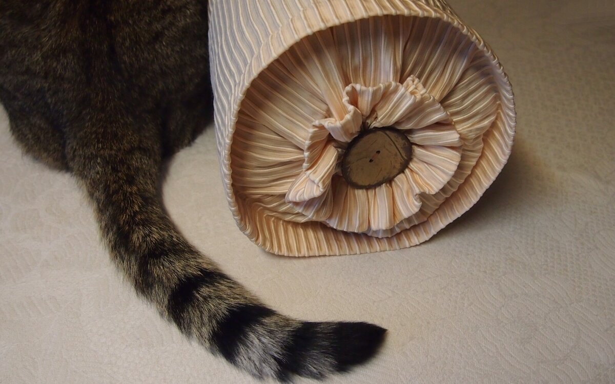 Две симпатичные *опки