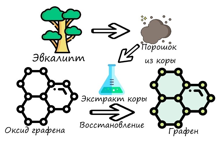 1. Из коры эвкалипта получают порошок. 2.Из порошка делают экстракт. 3. Экстракт - отличный восстановитель, помогает оксиду графена стать графеном. Картинка автора.