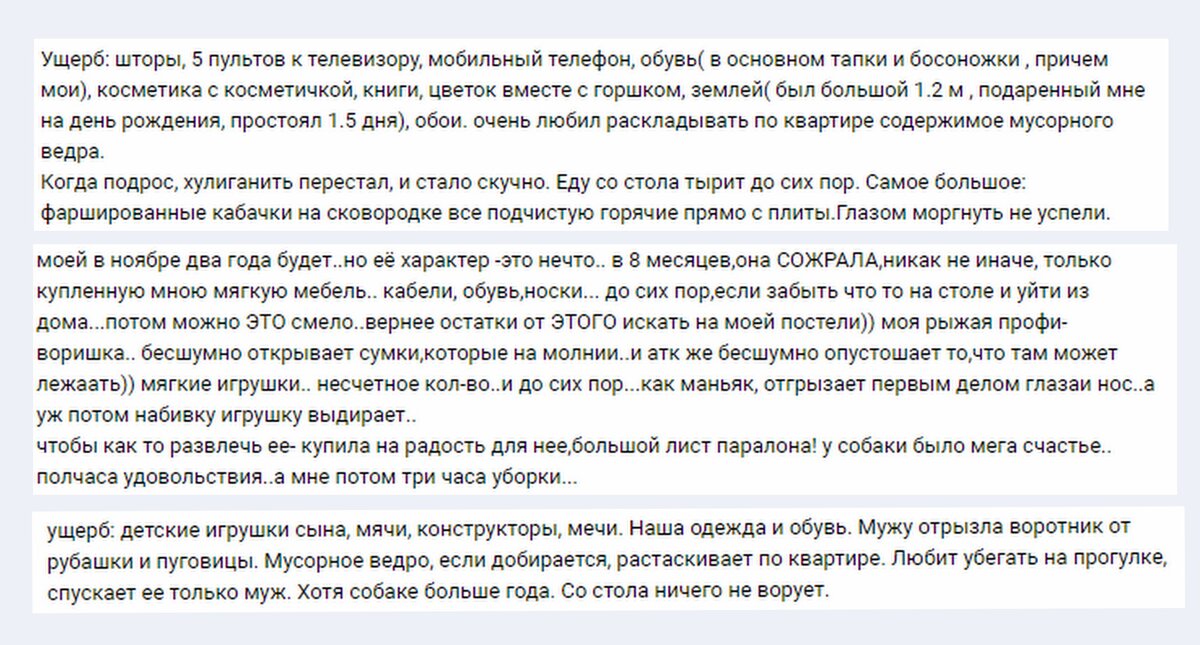 Сохранена орфография авторов. Взято отсюда: https://vk.com/topic-404932_23866797