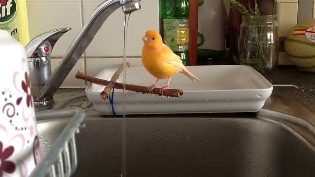 Источник фото: youtube.com