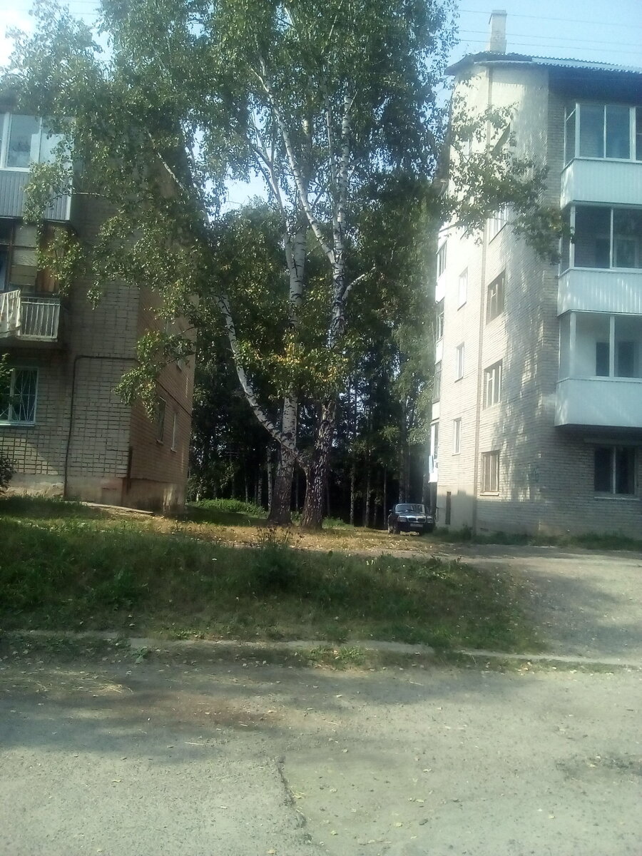 А вон там, за берёзками- железная дорога, а сразу за ней речка. Киргизка. Которая воробью по ... Ну ты поняла.
