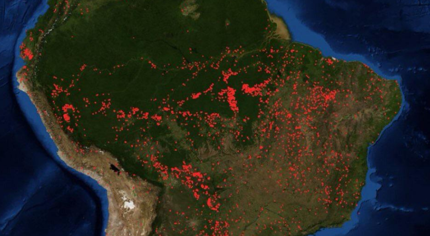 Лесные пожары в Бразилии
