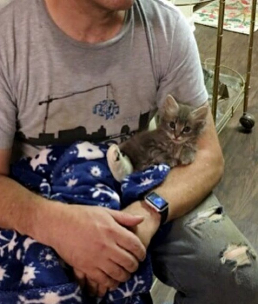 Фото: cheezburger.com 