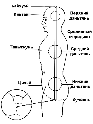 Расположение 3-х дантянь в энергоструктуре на проекции тела