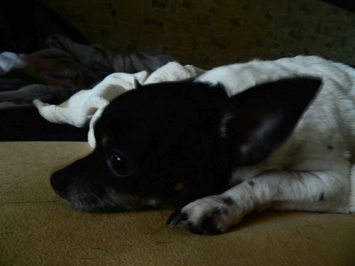 в ожидании подруги...