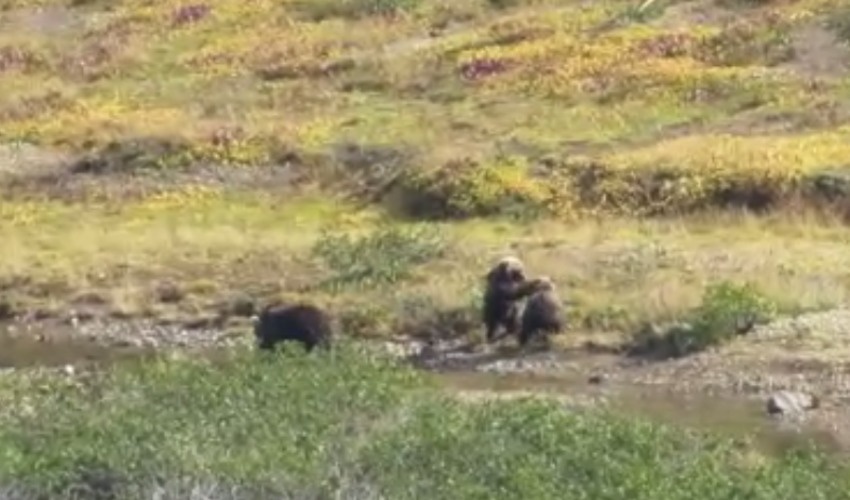 Кадр из видео