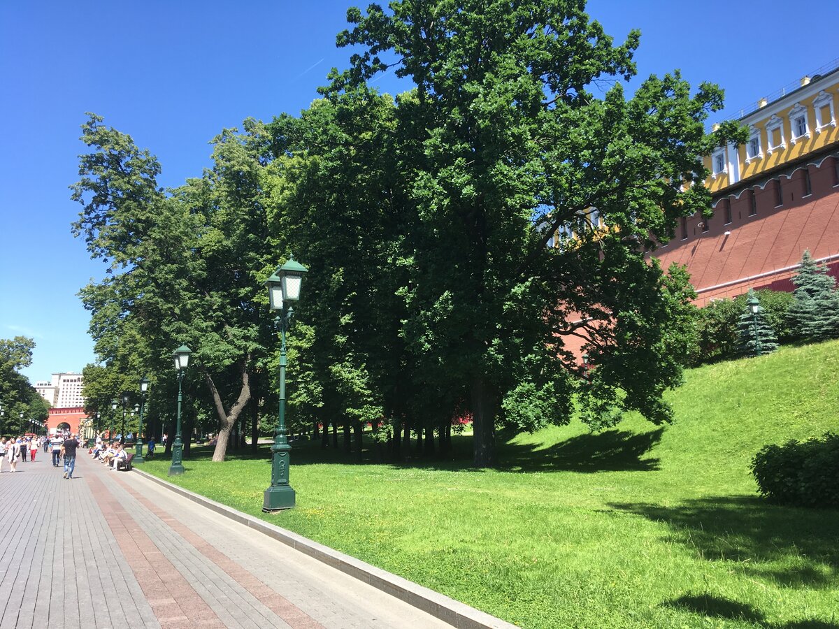 Александровский сад. Фото из личного архива