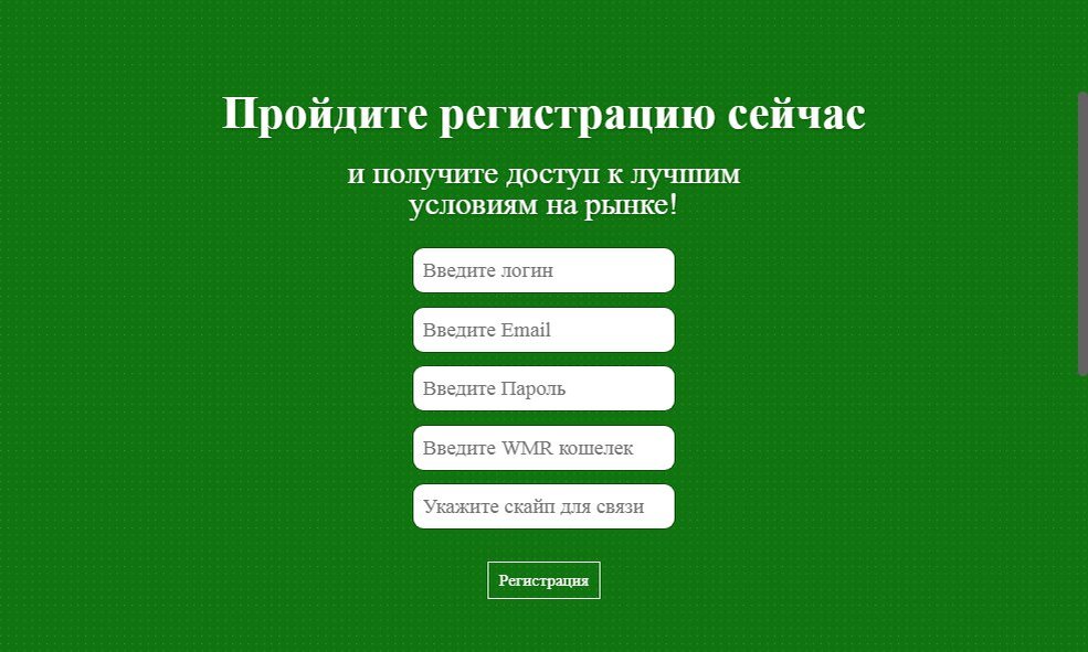 Заполняем все поля, кошелёк вэбмани можно ввести позже, так же как и скайп! 