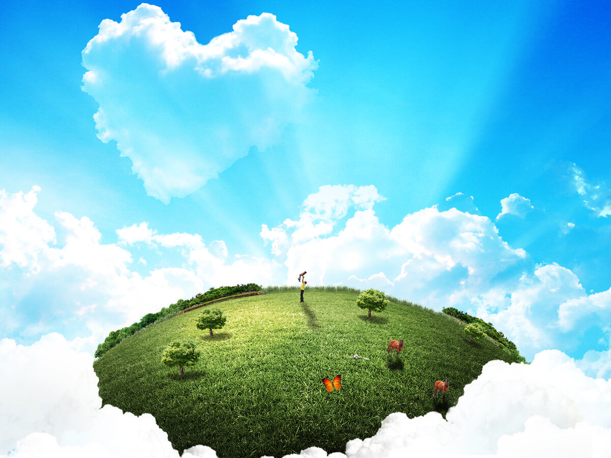 источник : Яндекс. Картинки.