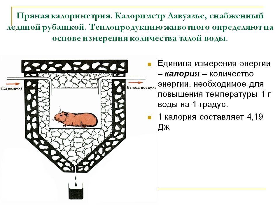 АБК-1В адиабатический бомбовый калориметр