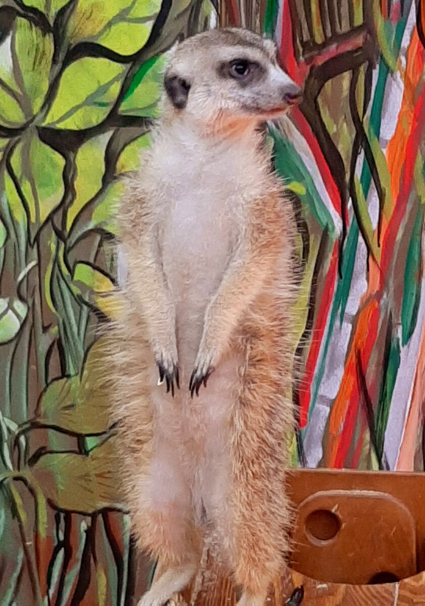 Не теряйте бдительность!