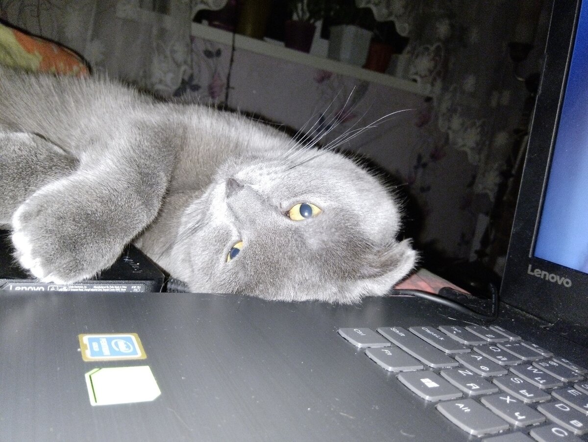 фото из личного архива