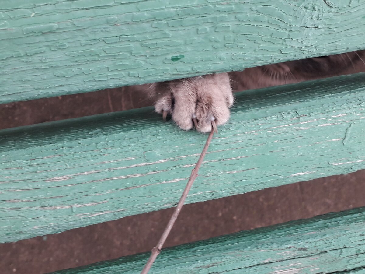 Фото автора истории. 