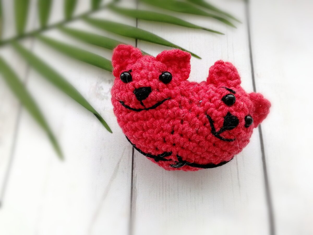 Мои влюбленные котики