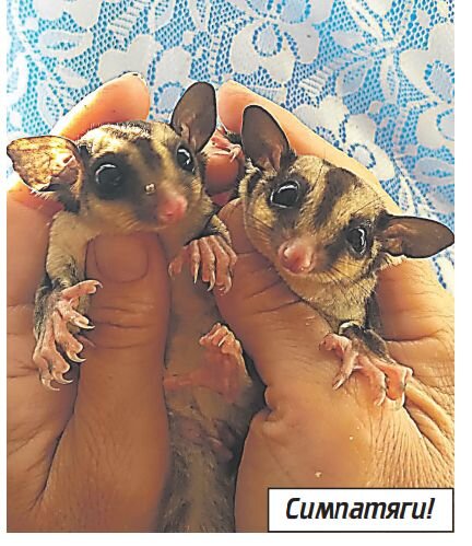 Фото из архива Елены Кустовой