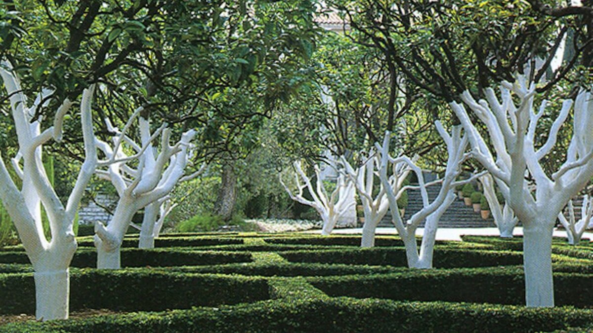 фото взято из Google картинки (Весенняя обработка сада от вредителей)