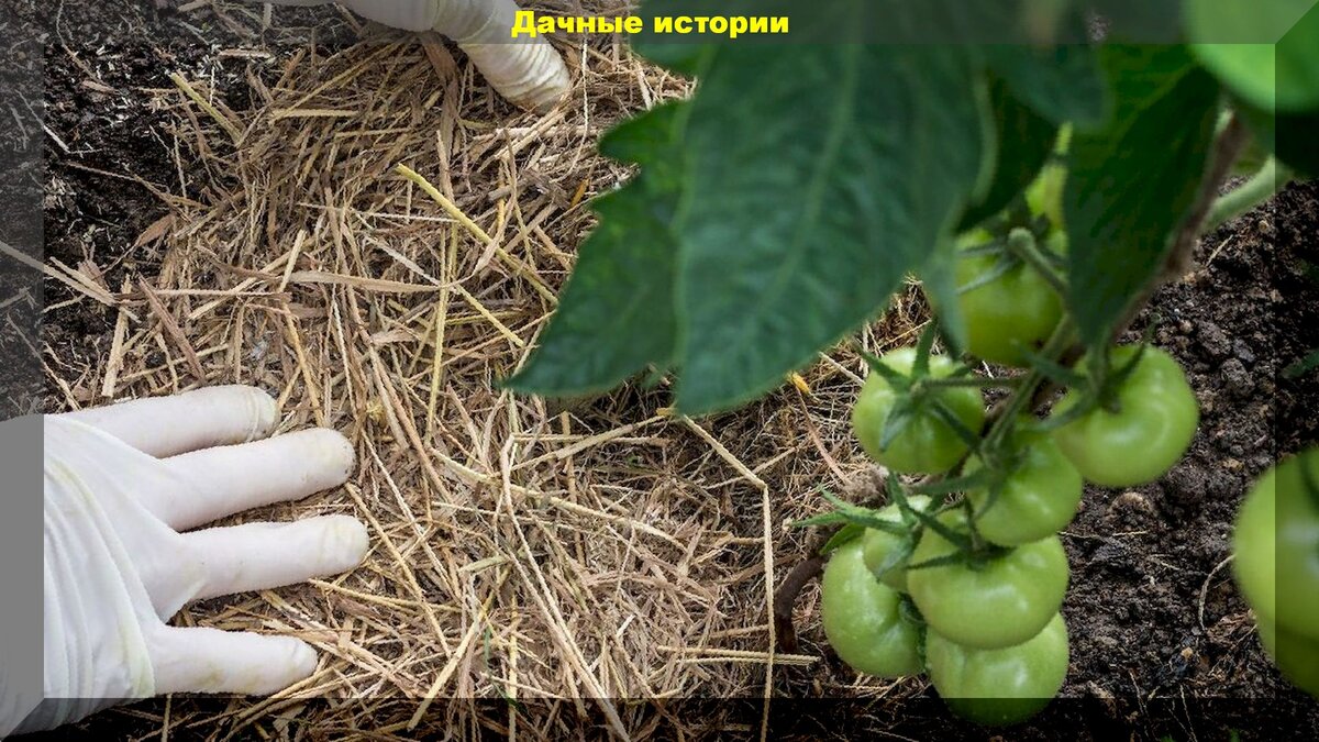 https://vk.com/photo-159774511_457243385