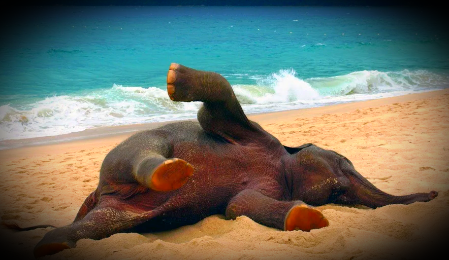 Картинка из интернета.