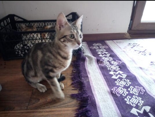 Послушные, здоровенькие малышата