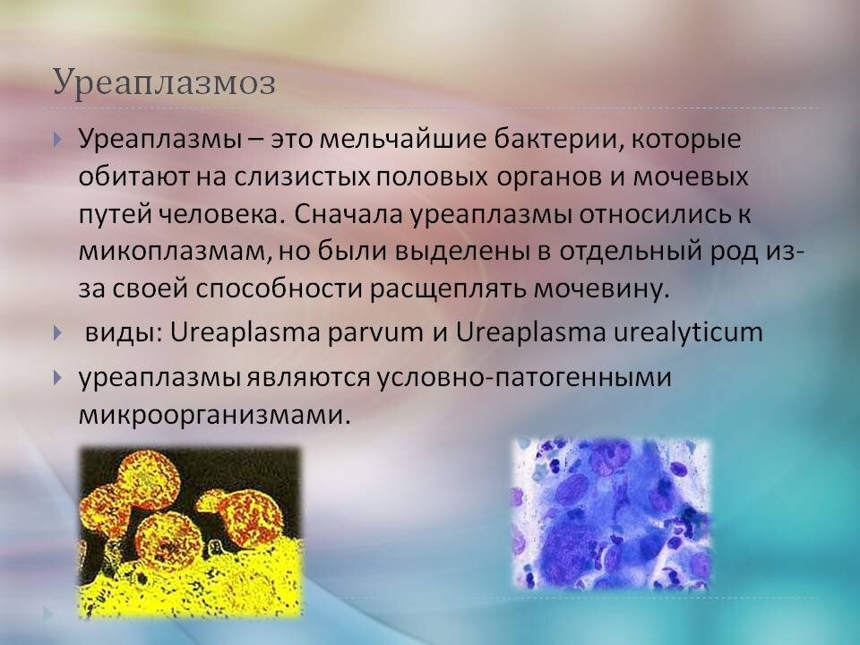 Хламидия и микоплазменные инфекции слизистой оболочки