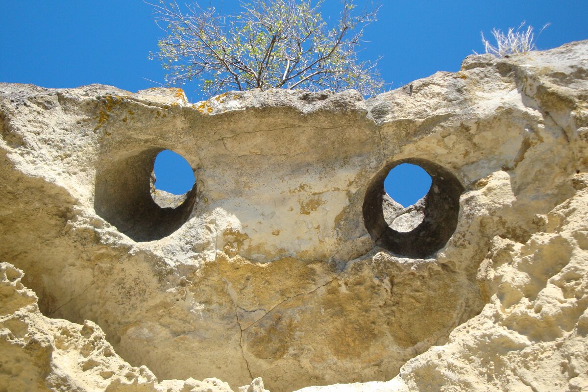Бакла печально смотрит на тебя