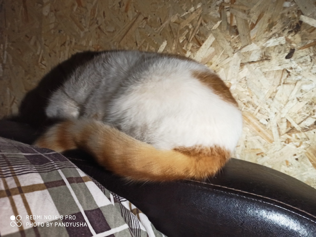 Фото из личного архива.