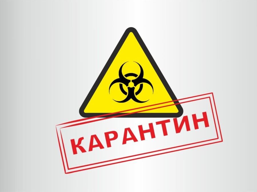 Источник изображения - Яндекс.Картинки 
